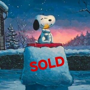 Victoria's Secret Pink Hoodie Size Med